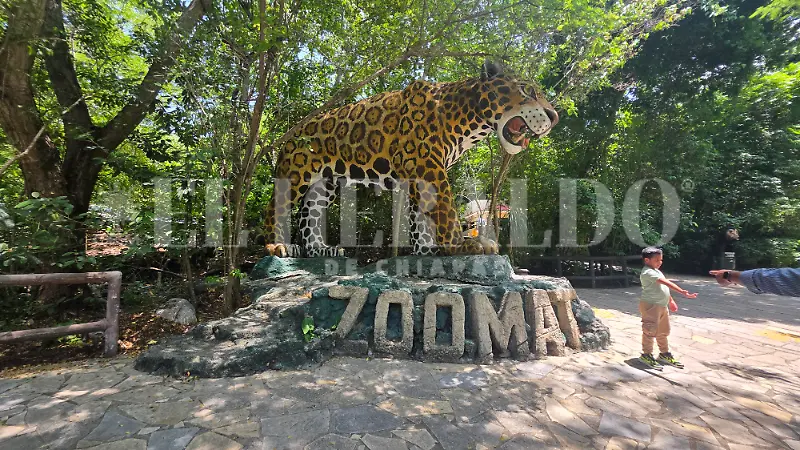 Vacaciones ZooMAT Tuxtla