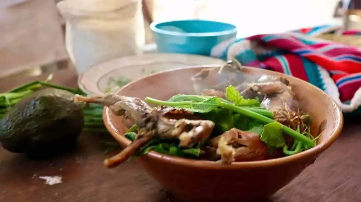 Rata de monte gastronomía Oxchuc