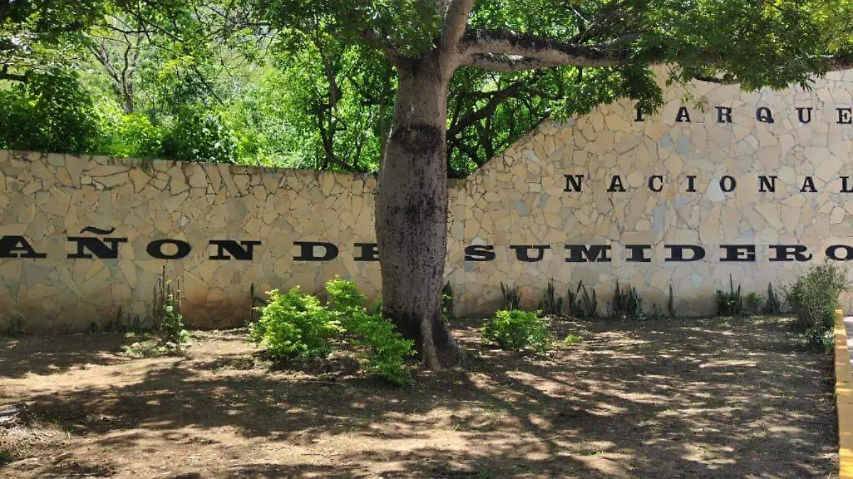 Esperan campaña de promoción turística para Chiapas 