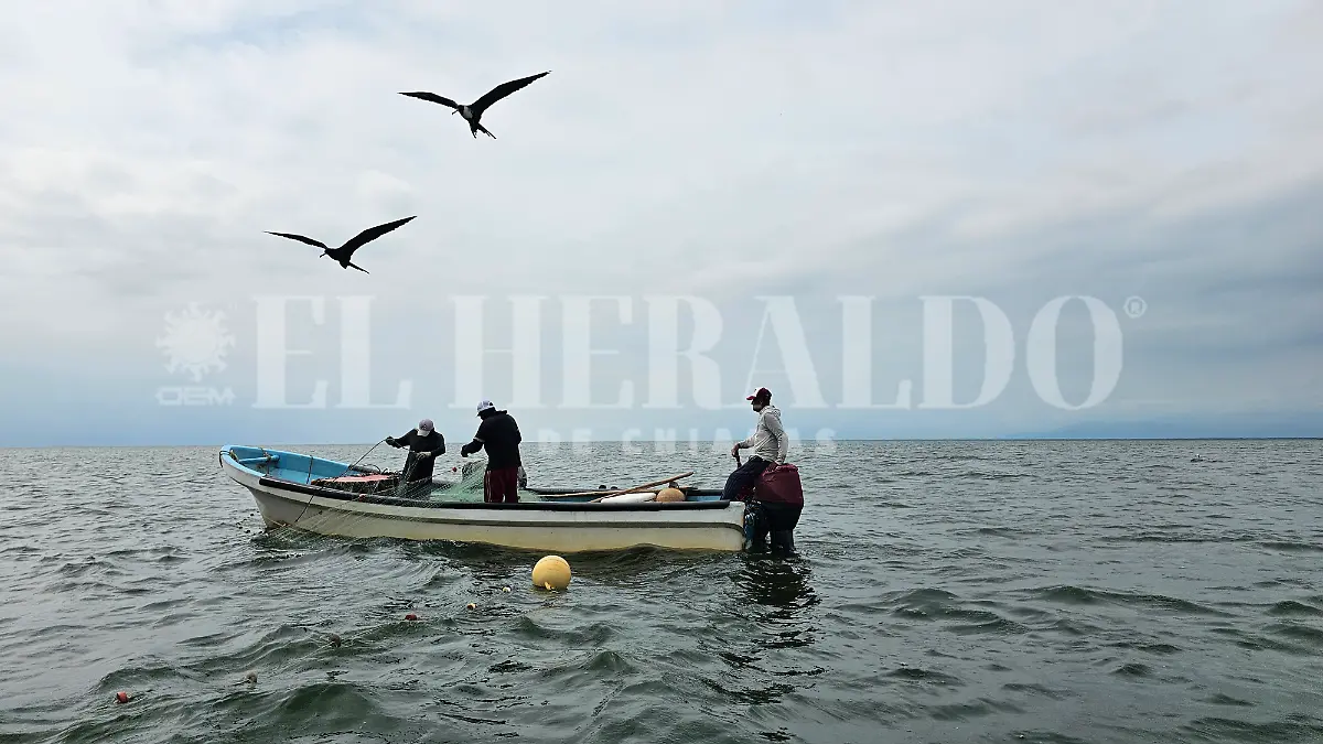 Pescadores crisis pescado Paredón Chiapas