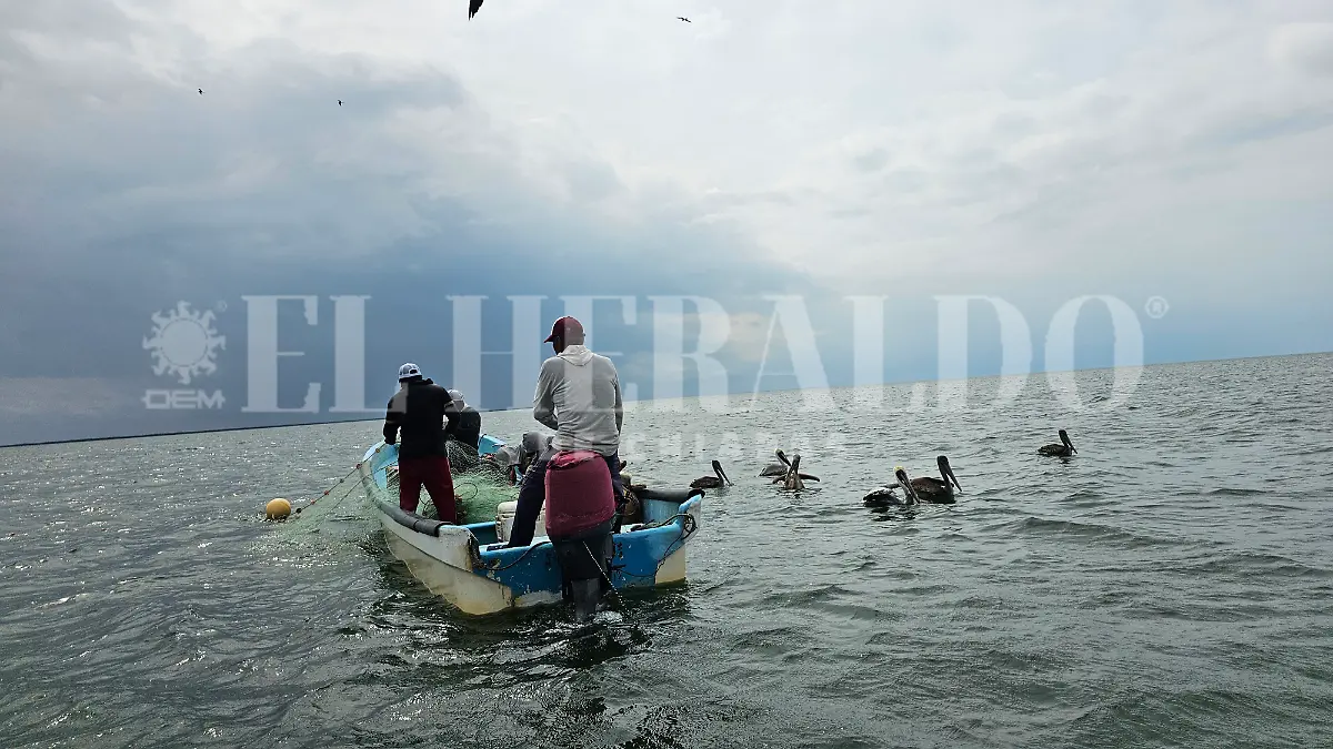 Pescadores producción pesca Paredón 