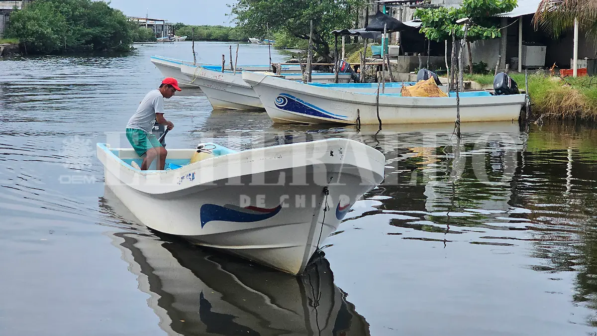Crisis en la pesca Paredón pescadores economia