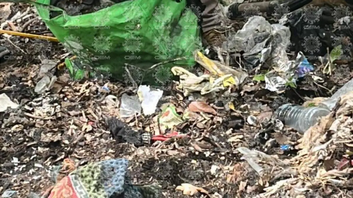 Personas desaparecidas cateos ranchos crimen organizado Chiapas madres buscadoras 