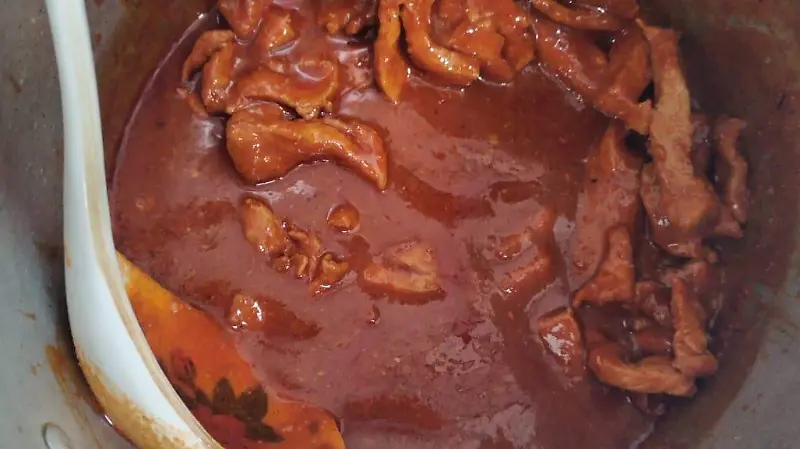 Fajitas de puerco en mole