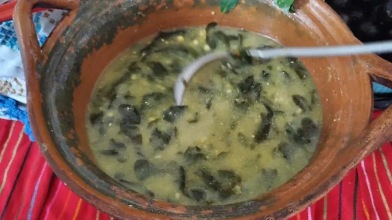Bolita de chipilín no falta en la cocina tradicional zoque 