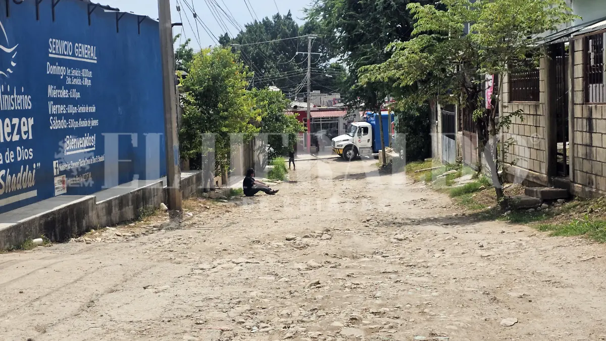 Loma Bonita Tuxtla calles alumbrado público denuncia transporte