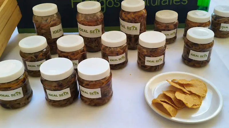 hongos