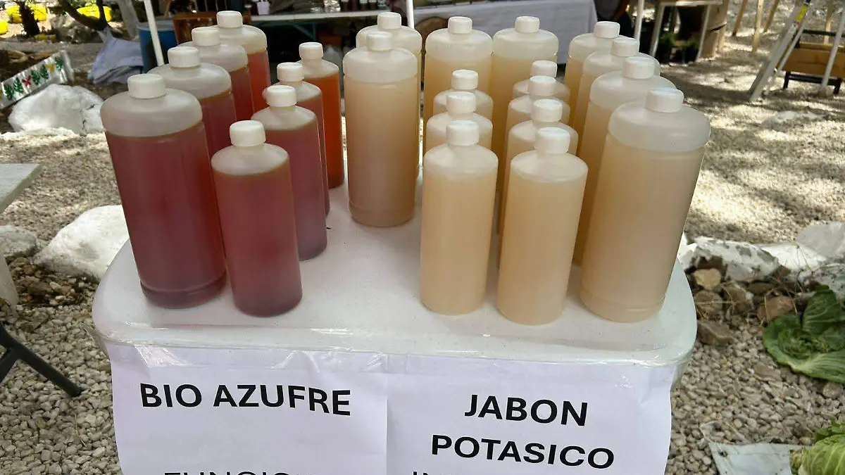 Habitantes de la zona se ocupan de la producción orgánica 