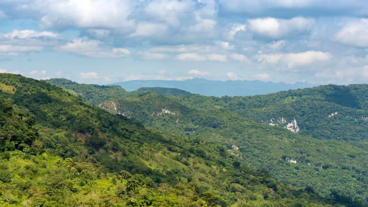 Afectadas 35 hectáreas por lotificación 