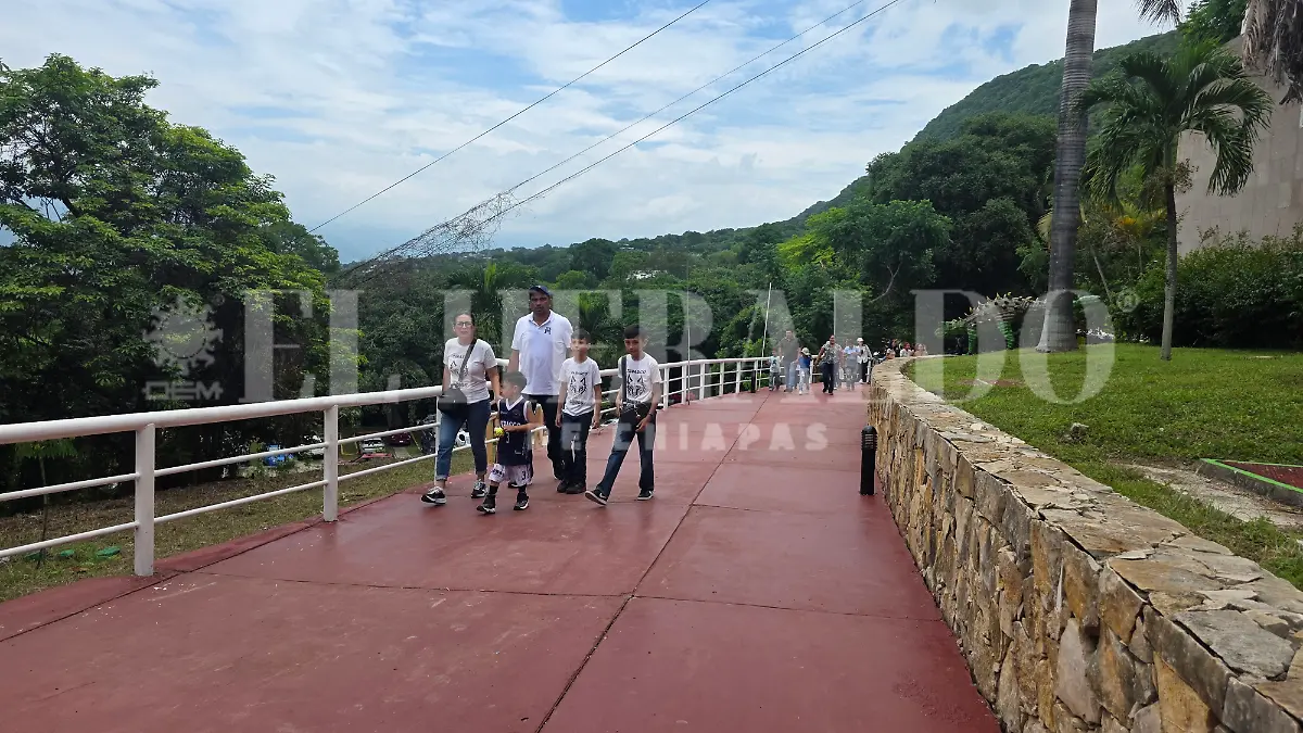 Much ciencia y tecnología afluencia