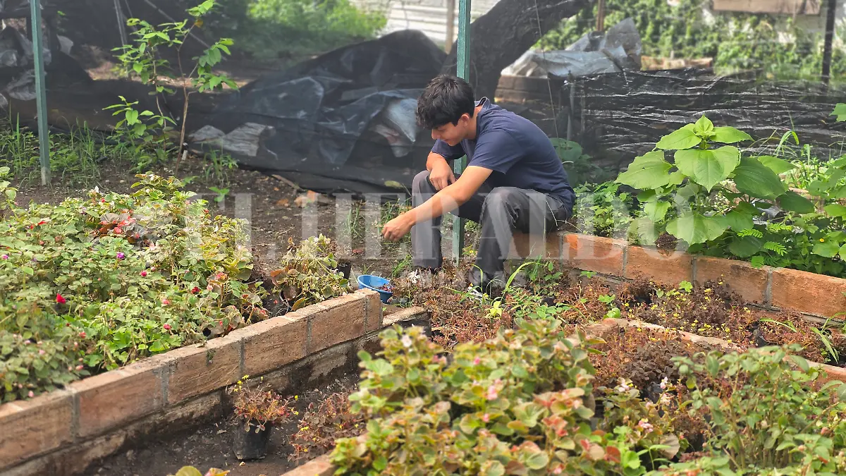 Empleos informalidad Chiapas 