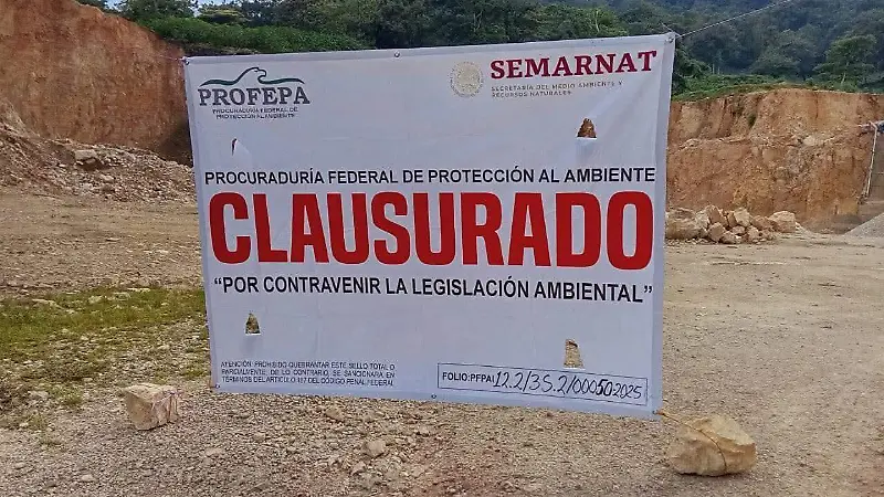 Clausura profepa ocosingo