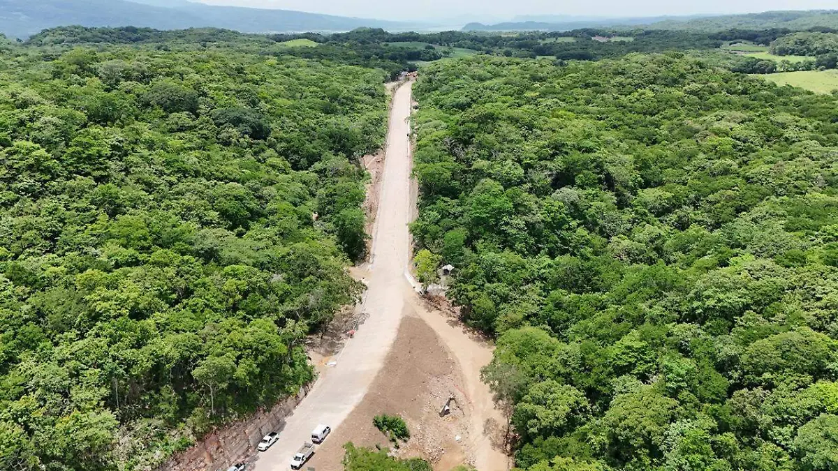 Camino de acceso al puente 