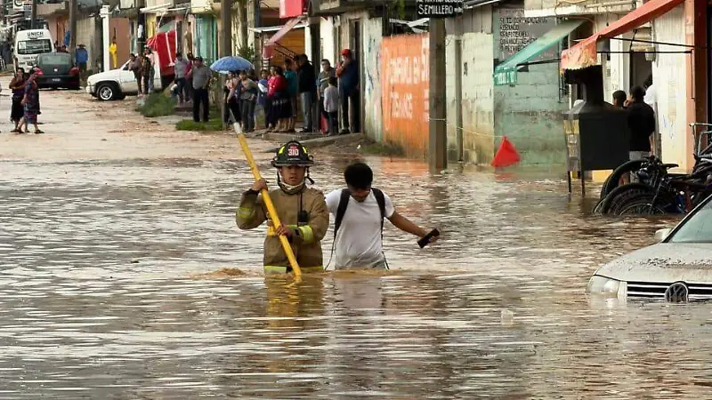 Daños4