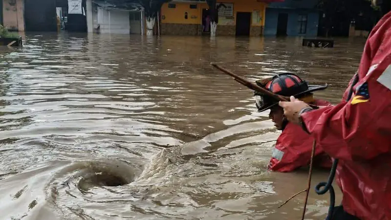Daños1