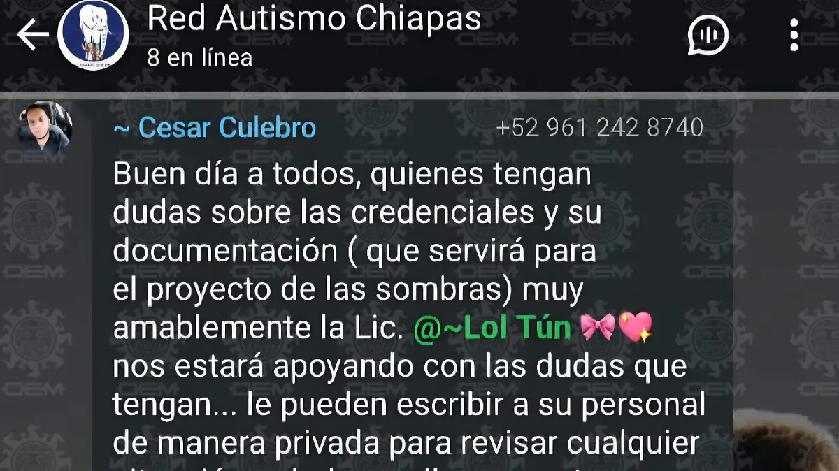 Denuncias autismo fraude