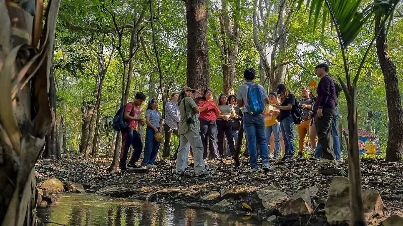 Festival aves migratorias Tuxtla pajareada