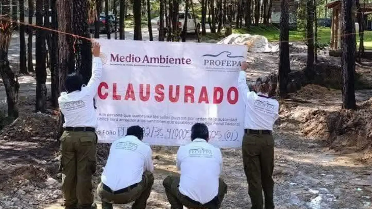 PROFEPA 