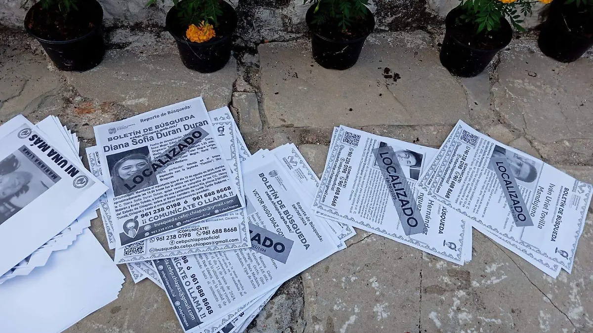 boletas de desaparecidos