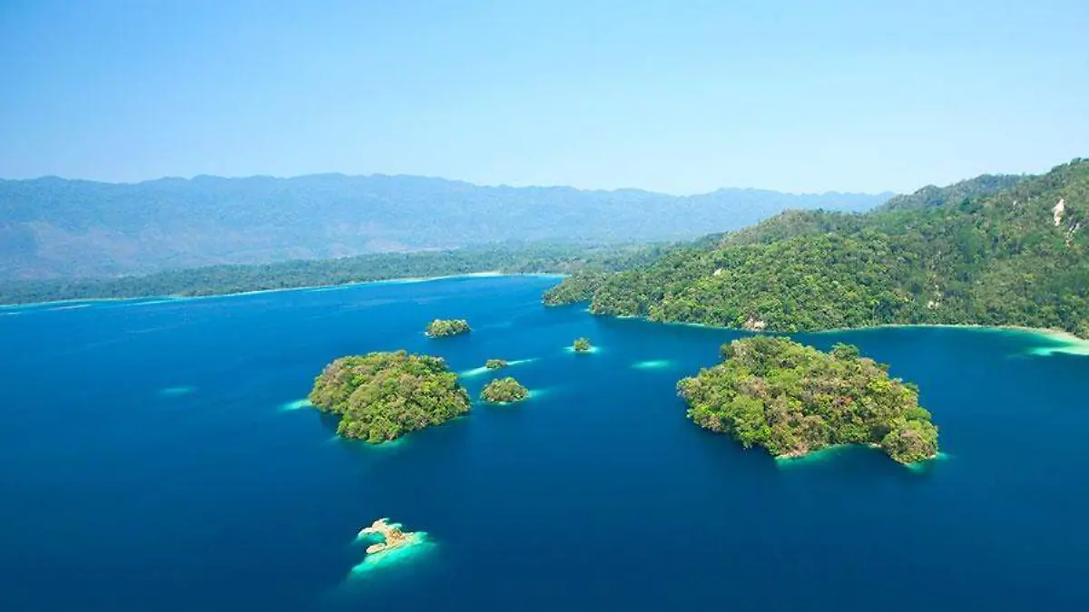 30cf5551_22042020_0126