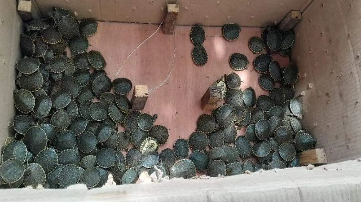 WhatsApp Image 2025-11-05 at 1.08.58 PM