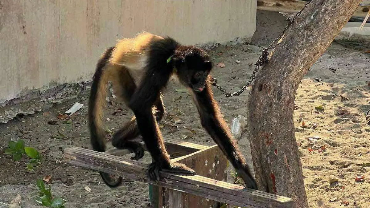 WhatsApp Image 2025-11-05 at 1.26.23 PM