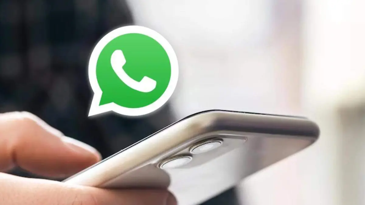 WhatsApp Image 2025-11-08 at 8.59.20 AM