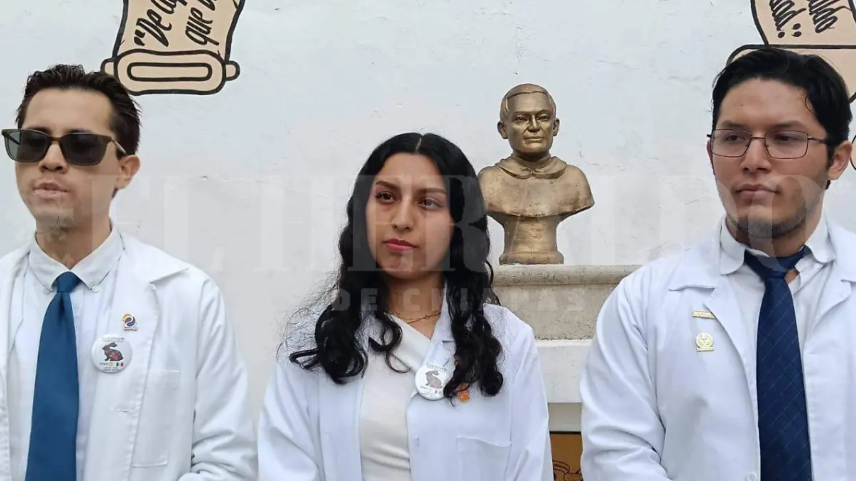 WhatsApp Image 2025-11-10 at 17.12.49