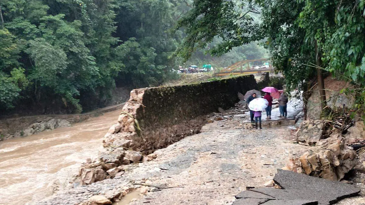 WhatsApp Image 2025-11-11 at 8.55.31 AM