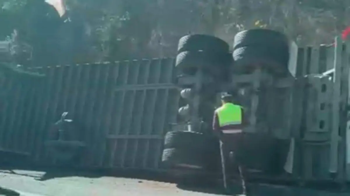 WhatsApp Image 2025-11-12 at 10.47.44 AM