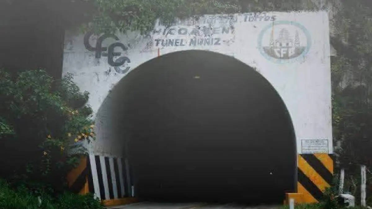 WhatsApp Image 2025-11-12 at 2.42.47 PM