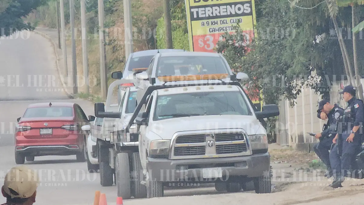 Vehículos asegurados