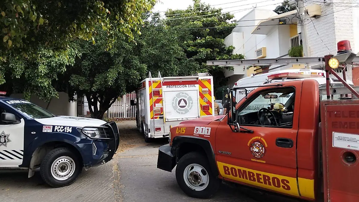 WhatsApp Image 2025-11-15 at 15.41.23