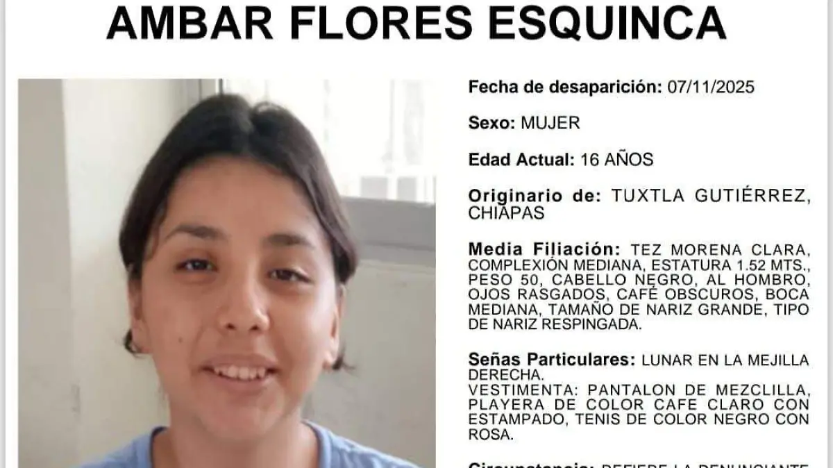 WhatsApp Image 2025-11-15 at 19.20.05