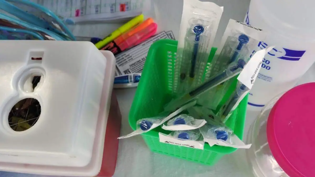 WhatsApp Image 2025-11-18 at 11.33.55 AM (1)