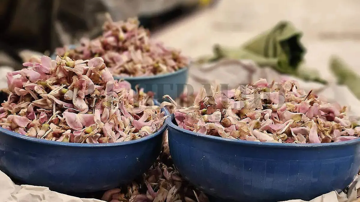 WhatsApp Image 2025-11-22 at 10.46.11 AM