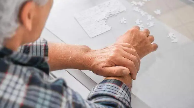 WhatsApp Image 2025-11-24 at 10.17.29 AM (1)