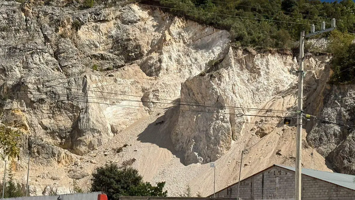 WhatsApp Image 2025-11-24 at 13.49.03 (2)