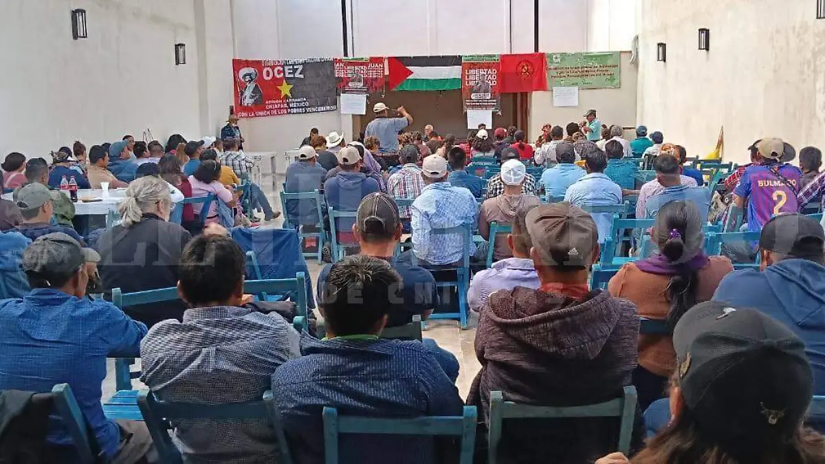 WhatsApp Image 2025-11-24 at 16.58.37