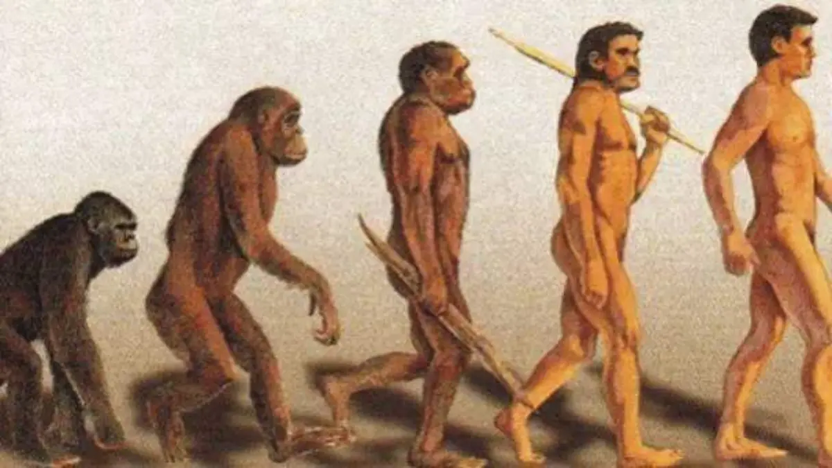 el-origen-de-la-evolucion-focus-0-0-608-342