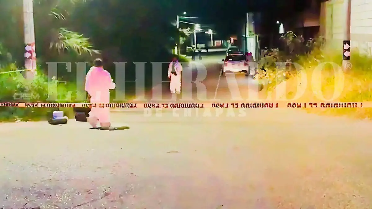 WhatsApp Image 2025-12-01 at 08.27.58