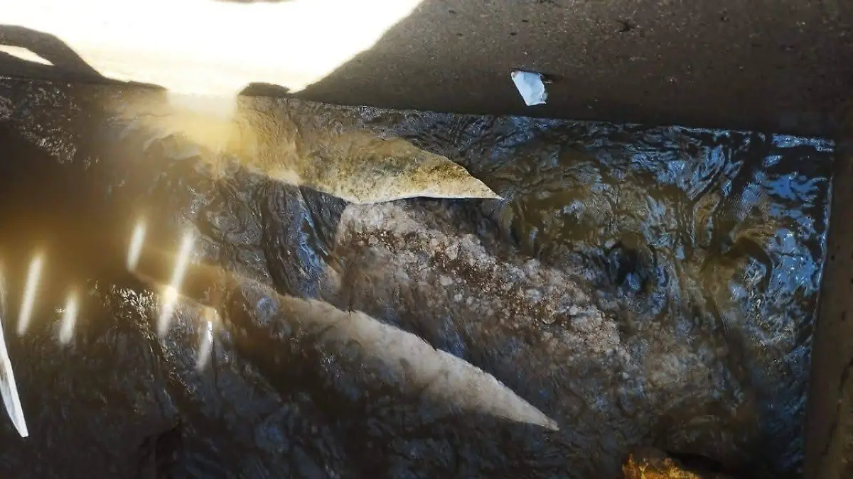 FB_IMG_1764613761336