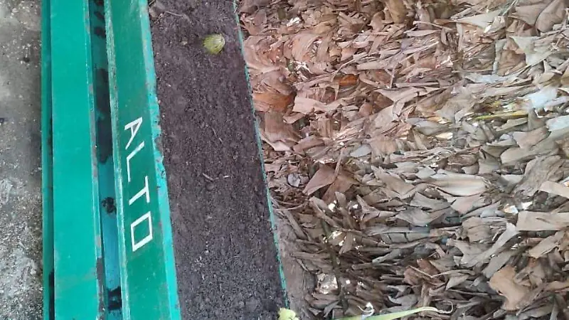 Preparativos para la siembra