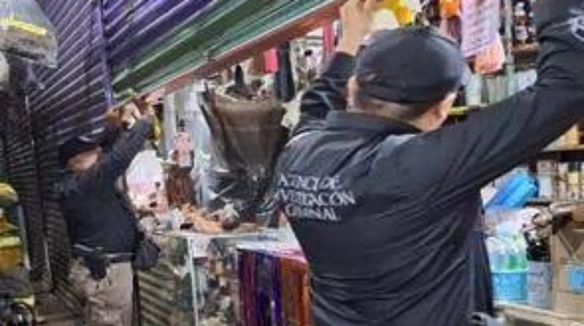 WhatsApp Image 2025-12-09 at 3.08.00 PM (1)