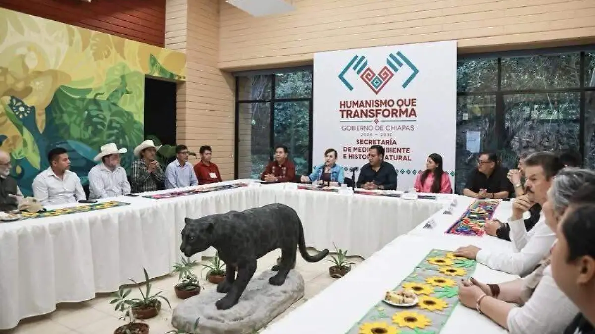 WhatsApp Image 2025-12-12 at 5.18.05 PM