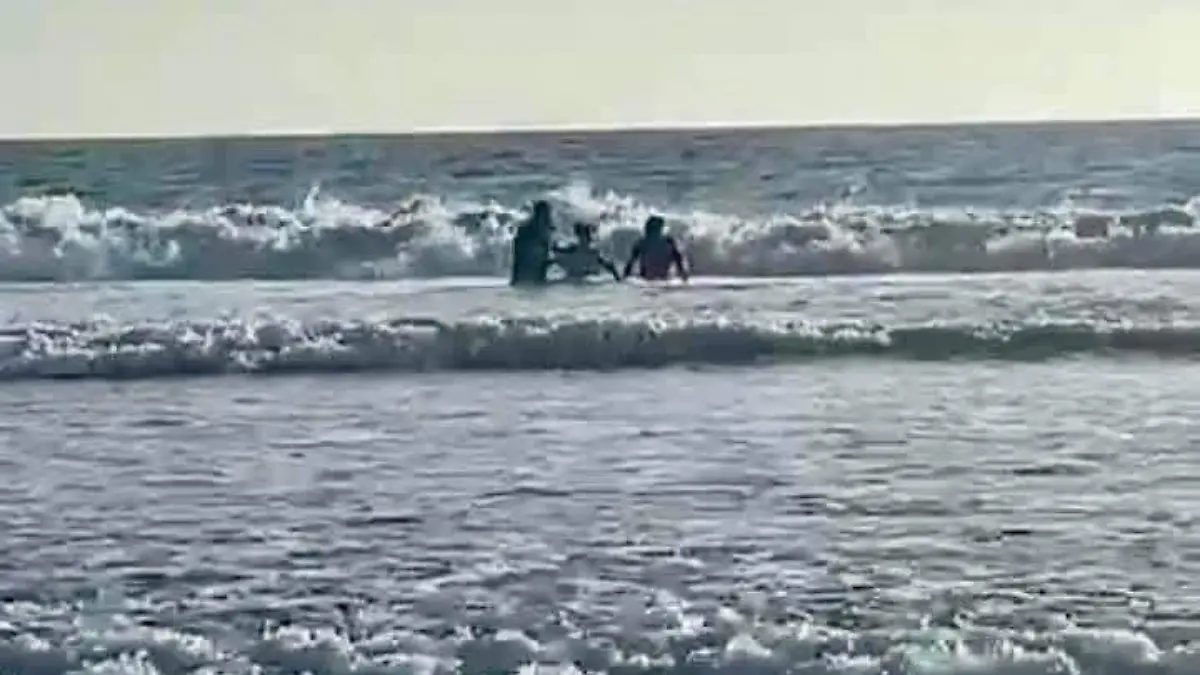 WhatsApp Image 2025-12-13 at 4.15.40 PM