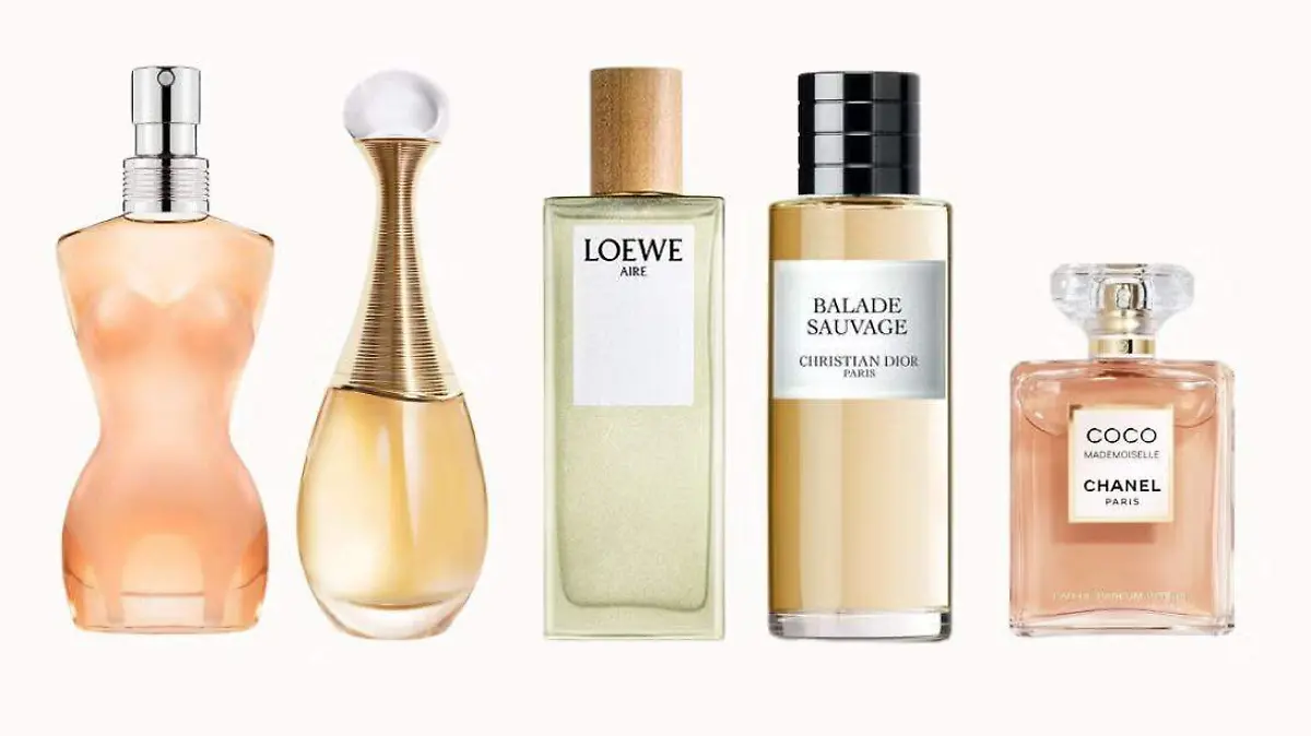 WhatsApp Image 2025-12-14 at 11.09.15 AM