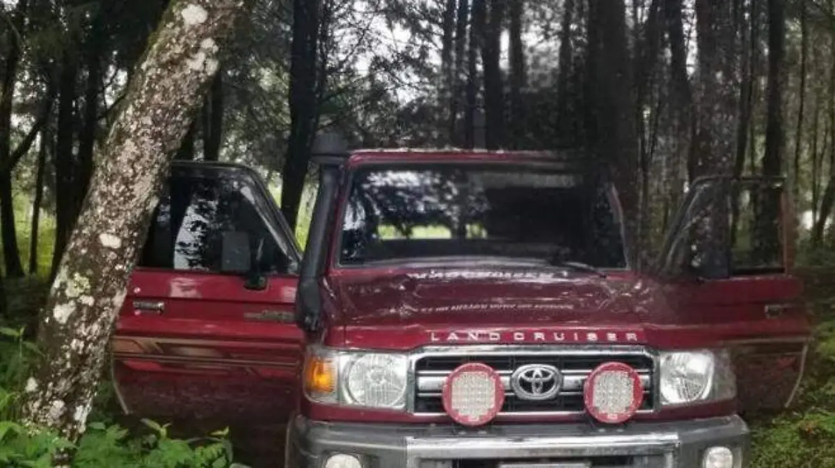 WhatsApp Image 2025-12-14 at 1.15.30 PM