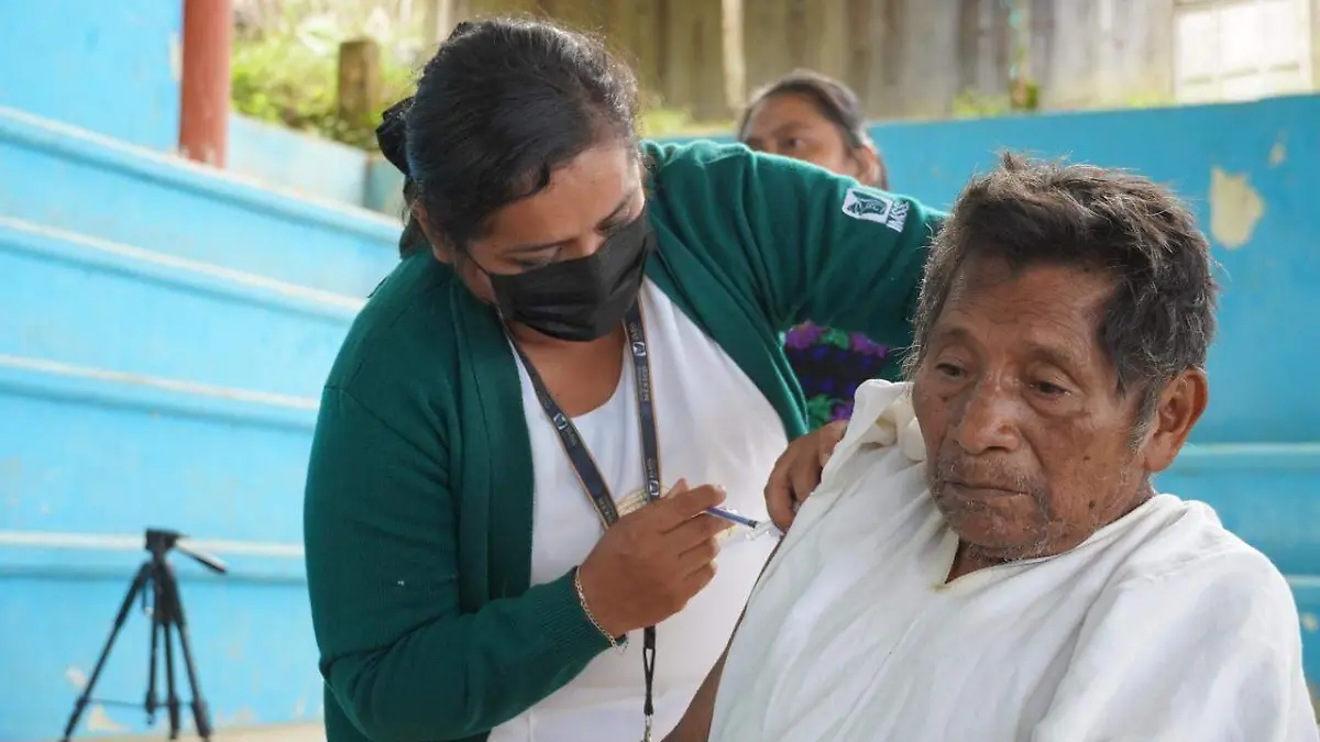 WhatsApp Image 2025-12-15 at 13.40.15 (1)