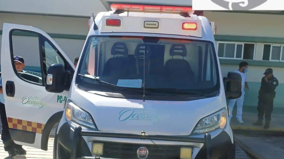 WhatsApp Image 2025-12-17 at 3.57.14 PM